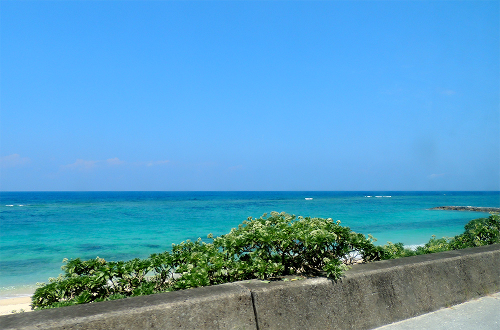 辺バスから見える海景色